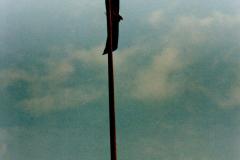 1169_flaggan-halas