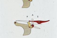 049