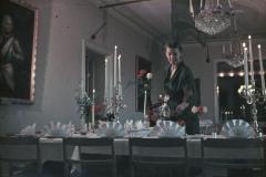 Överste Sellin Avskedsfest 1956